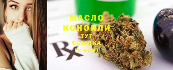 стаф Кулебаки
