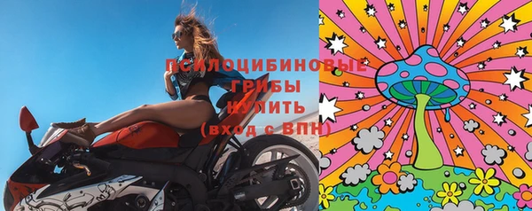 шишки Куйбышев