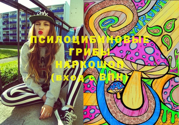 стаф Кулебаки