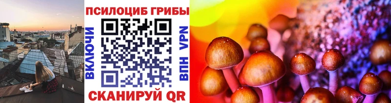 blacksprut ССЫЛКА  Новокузнецк  Псилоцибиновые грибы Psilocybe 